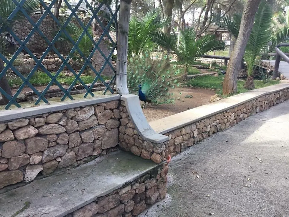 16 Porto Santo Apartments